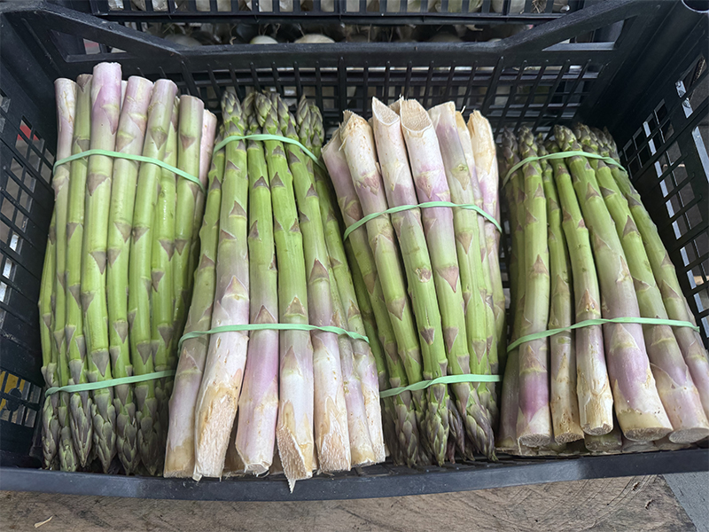 Asparagi verdi in mazzi della provincia di Torino 8,00 € al chilo